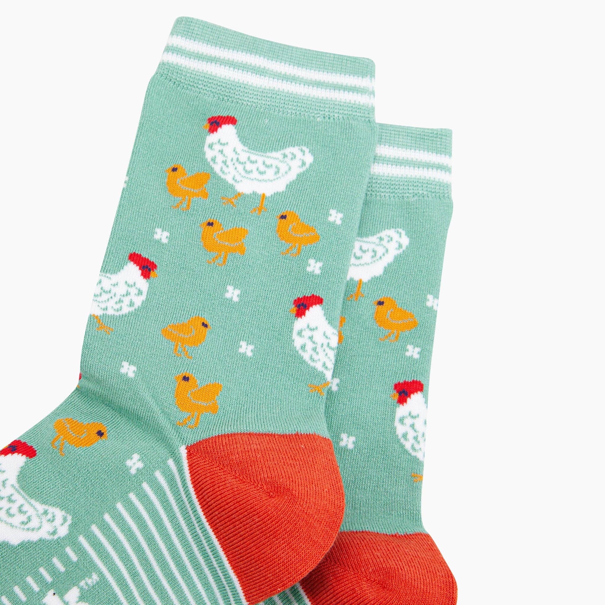 Hens and Chicks Bamboo Socks in Green: UK 3-7 | EU 36-40 | US 5-9