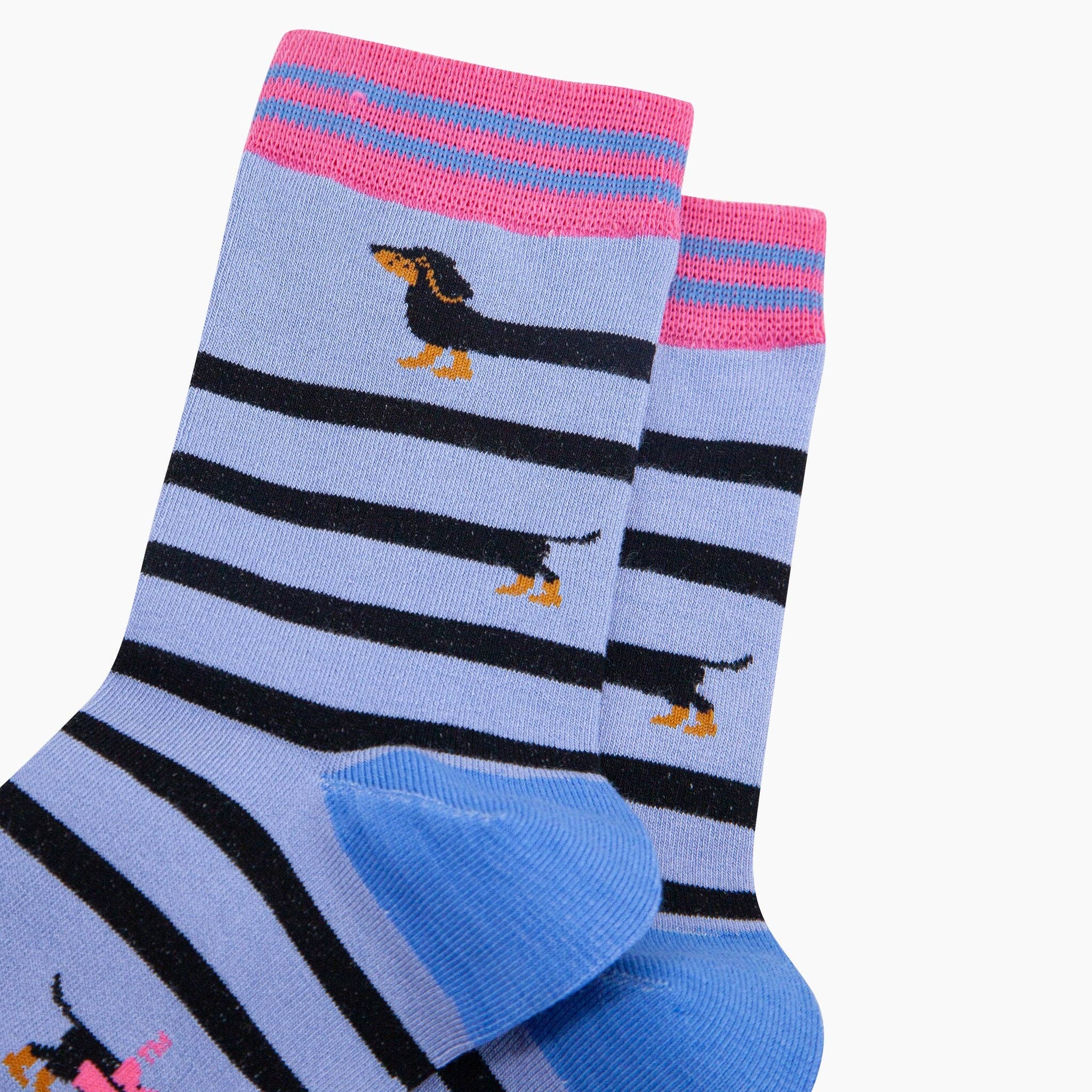 Winding Sausage Dog Bamboo Socks in Blue: UK 3-7 | EU 36-40 | US 5-9